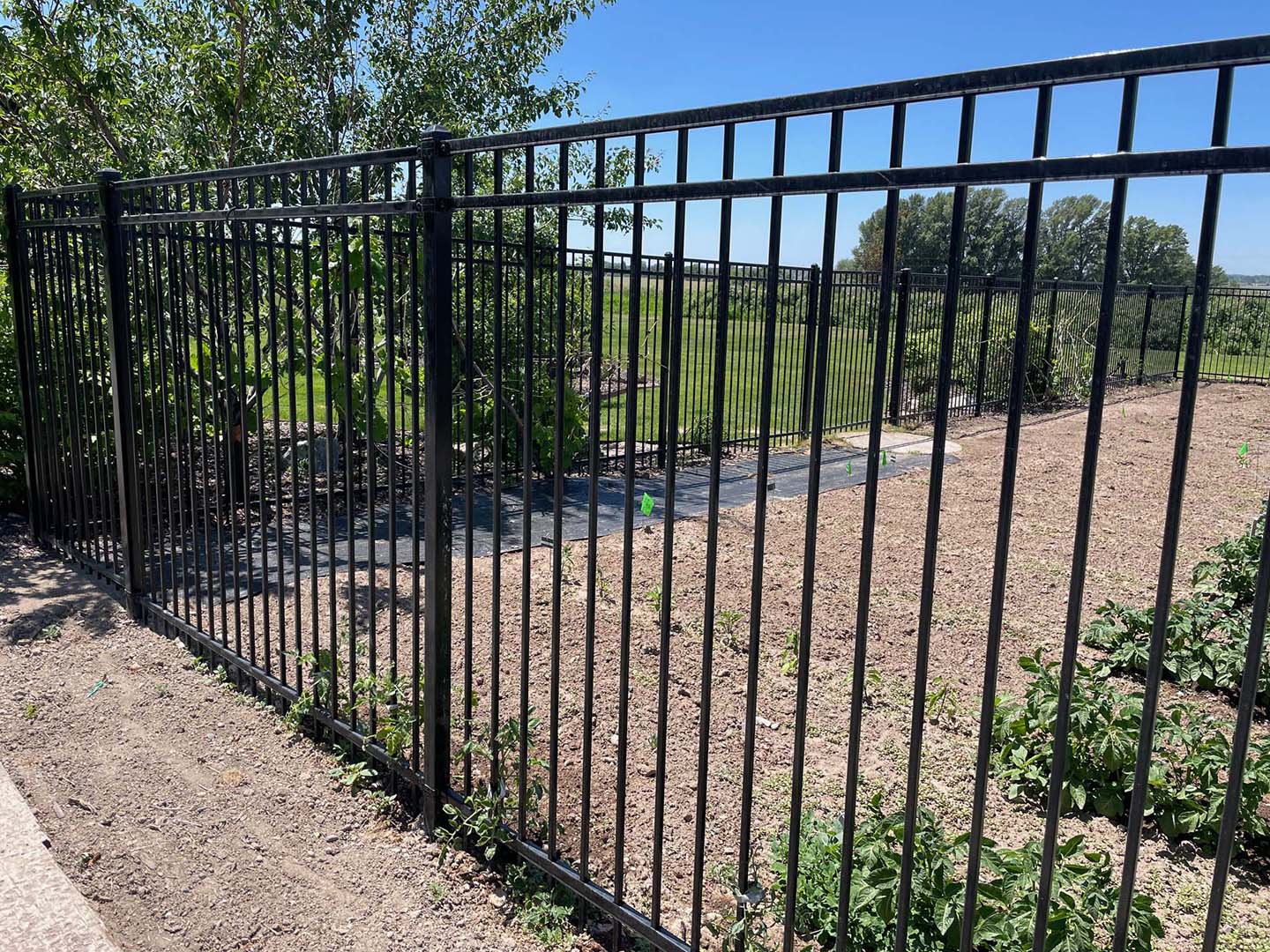 ornamental steel fenceFirth Idaho